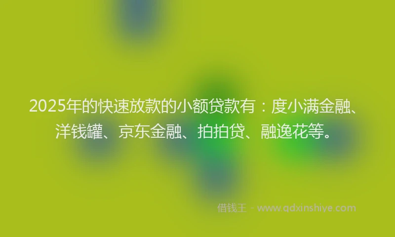 2025年的快速放款的小额贷款有：度小满金融、洋钱罐、京东金融、拍拍贷、融逸花等。