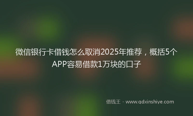 微信银行卡借钱怎么取消2025年推荐，概括5个APP容易借款1万块的口子