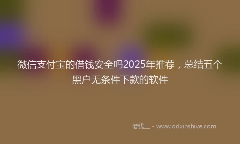 微信支付宝的借钱安全吗2025年推荐，总结五个黑户无条件下款的软件