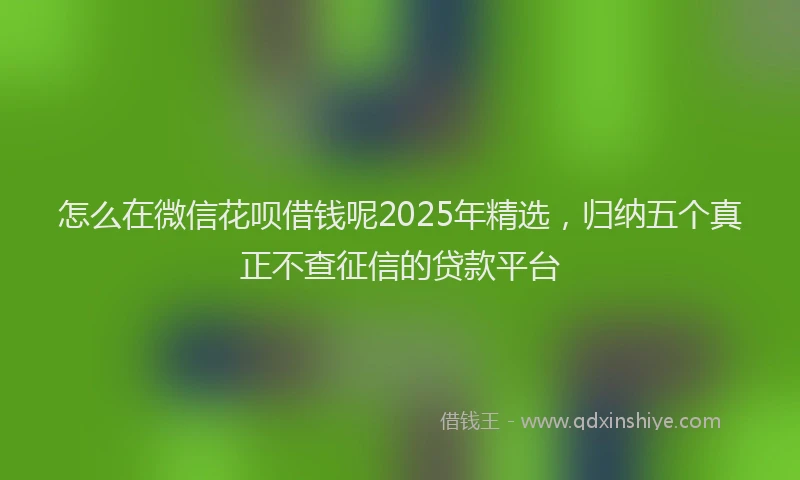 怎么在微信花呗借钱呢2025年精选，归纳五个真正不查征信的贷款平台