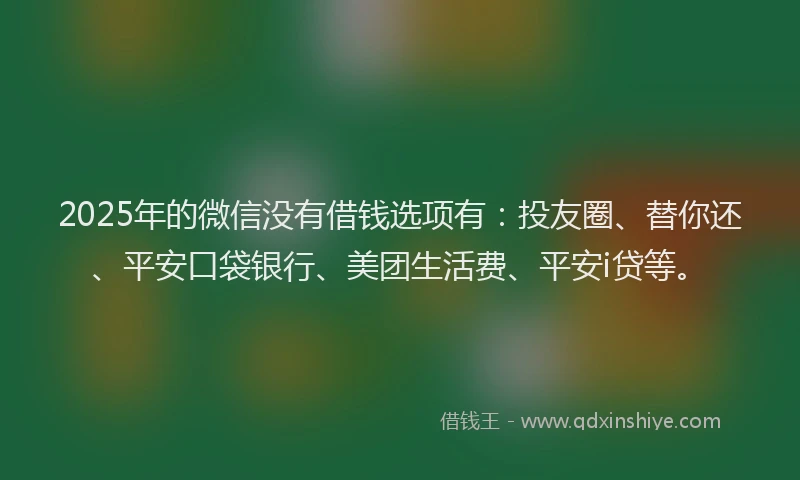 2025年的微信没有借钱选项有：投友圈、替你还、平安口袋银行、美团生活费、平安i贷等。