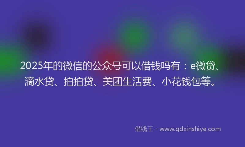 2025年的微信的公众号可以借钱吗有：e微贷、滴水贷、拍拍贷、美团生活费、小花钱包等。