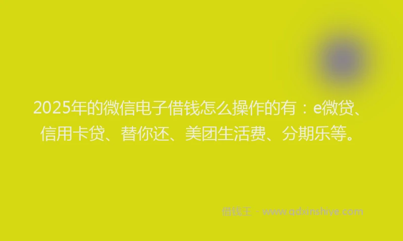 2025年的微信电子借钱怎么操作的有：e微贷、信用卡贷、替你还、美团生活费、分期乐等。