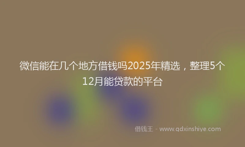 微信能在几个地方借钱吗2025年精选，整理5个12月能贷款的平台
