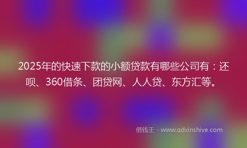 2025年的快速下款的小额贷款有哪些公司有：还呗、360借条、团贷网、人人贷、东方汇等。