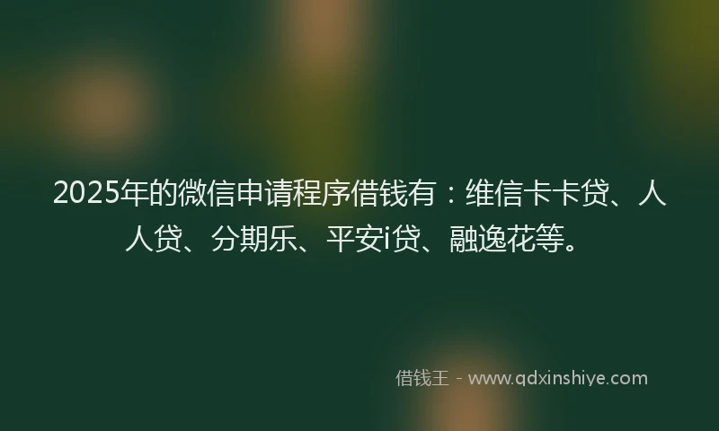2025年的微信申请程序借钱有：维信卡卡贷、人人贷、分期乐、平安i贷、融逸花等。