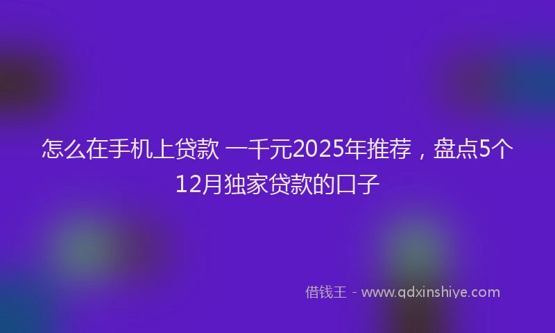 怎么在手机上贷款 一千元2025年推荐，盘点5个12月独家贷款的口子