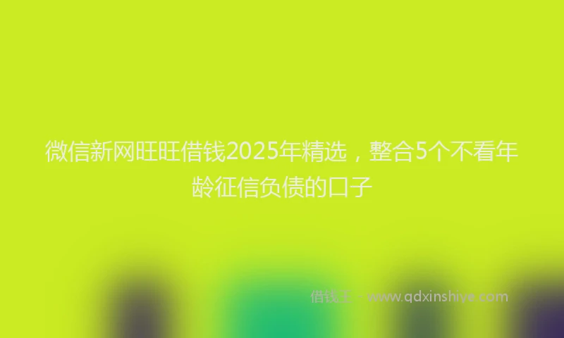 微信新网旺旺借钱2025年精选，整合5个不看年龄征信负债的口子