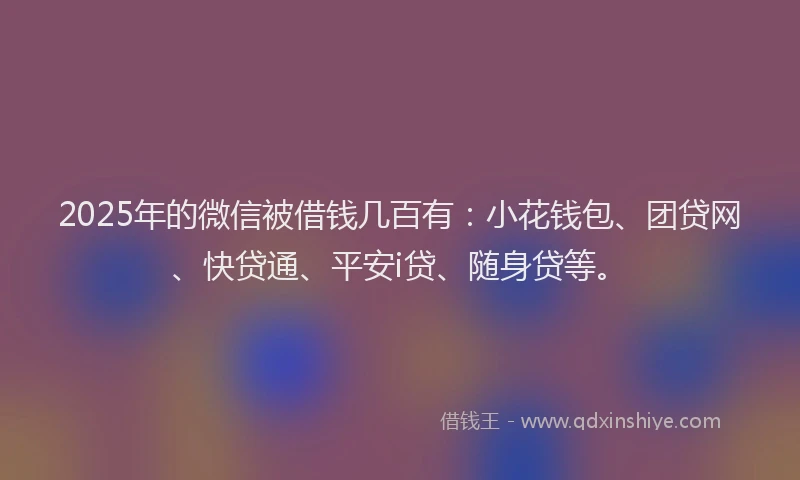 2025年的微信被借钱几百有：小花钱包、团贷网、快贷通、平安i贷、随身贷等。