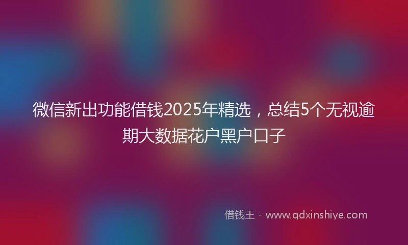 微信新出功能借钱2025年精选，总结5个无视逾期大数据花户黑户口子