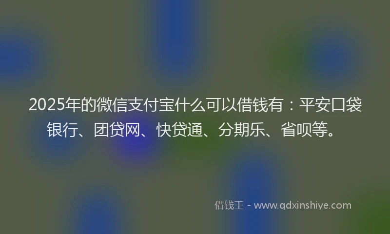 2025年的微信支付宝什么可以借钱有：平安口袋银行、团贷网、快贷通、分期乐、省呗等。