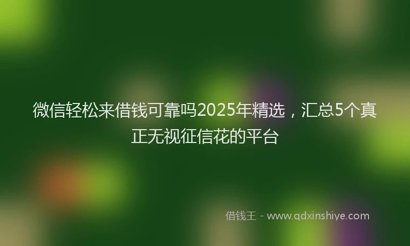 微信轻松来借钱可靠吗2025年精选，汇总5个真正无视征信花的平台
