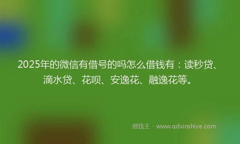 2025年的微信有借号的吗怎么借钱有：读秒贷、滴水贷、花呗、安逸花、融逸花等。