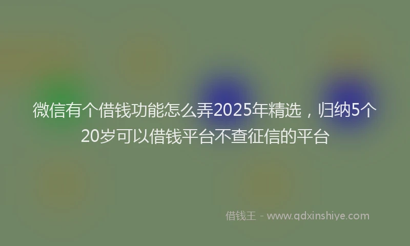 微信有个借钱功能怎么弄2025年精选，归纳5个20岁可以借钱平台不查征信的平台