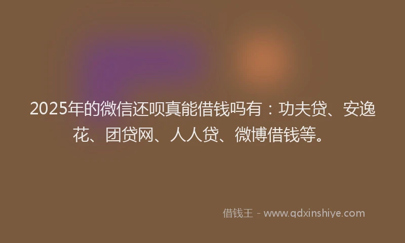 2025年的微信还呗真能借钱吗有：功夫贷、安逸花、团贷网、人人贷、微博借钱等。