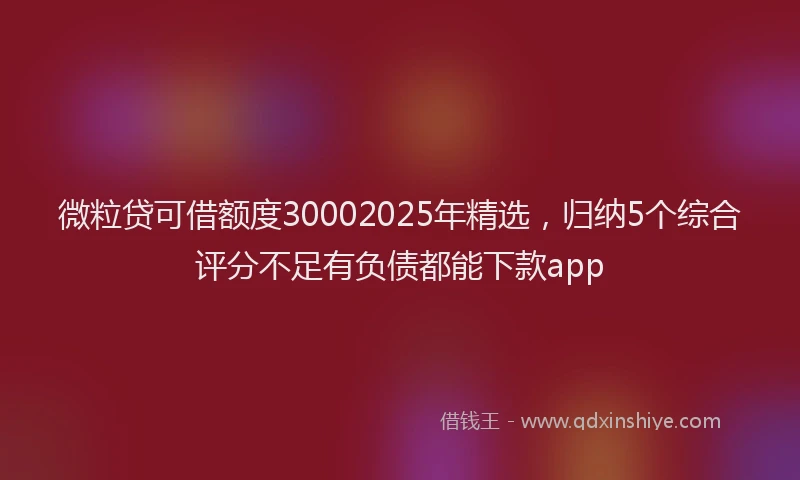 微粒贷可借额度30002025年精选，归纳5个综合评分不足有负债都能下款app