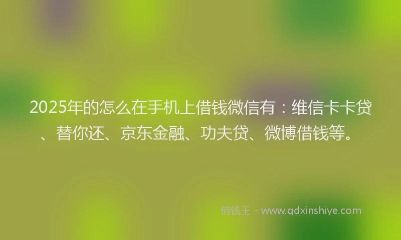2025年的怎么在手机上借钱微信有：维信卡卡贷、替你还、京东金融、功夫贷、微博借钱等。