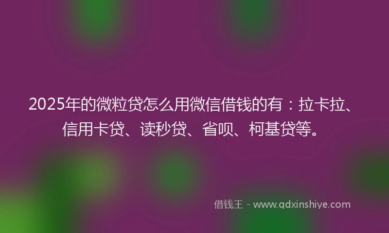 2025年的微粒贷怎么用微信借钱的有：拉卡拉、信用卡贷、读秒贷、省呗、柯基贷等。