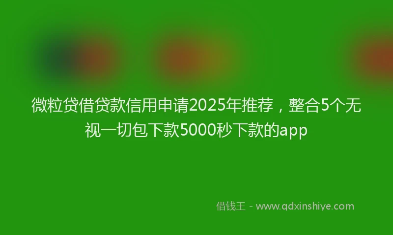 微粒贷借贷款信用申请2025年推荐，整合5个无视一切包下款5000秒下款的app