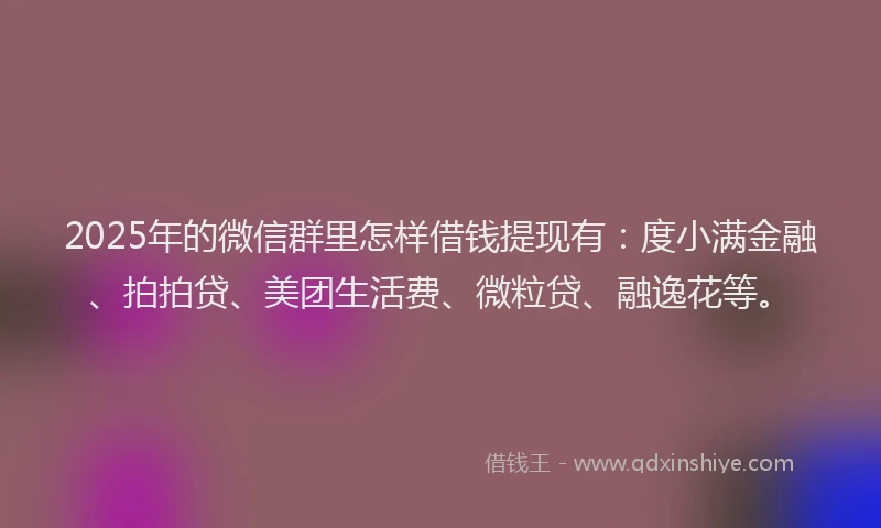 2025年的微信群里怎样借钱提现有：度小满金融、拍拍贷、美团生活费、微粒贷、融逸花等。