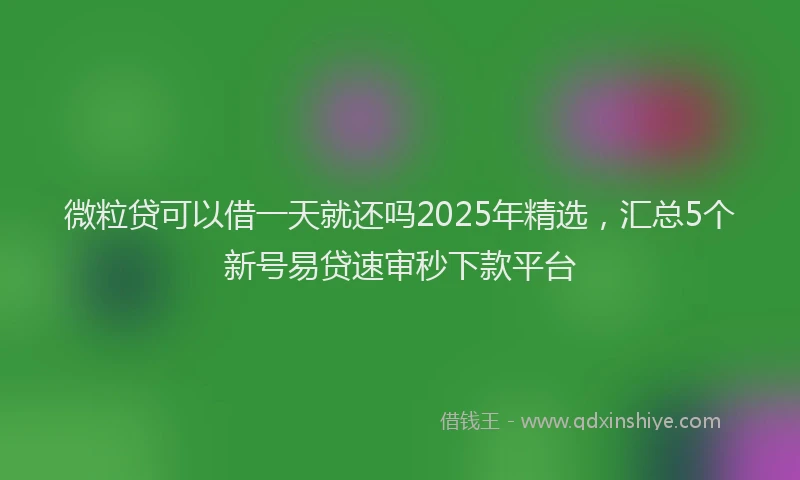 微粒贷可以借一天就还吗2025年精选，汇总5个新号易贷速审秒下款平台