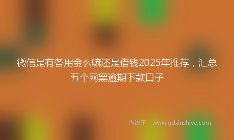 微信是有备用金么嘛还是借钱2025年推荐，汇总五个网黑逾期下款口子