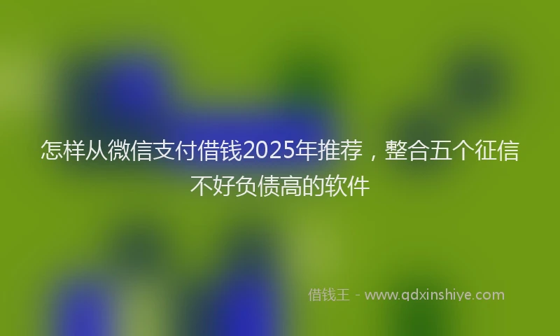 怎样从微信支付借钱2025年推荐，整合五个征信不好负债高的软件
