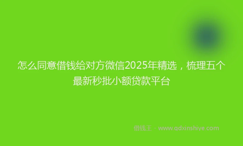 怎么同意借钱给对方微信2025年精选，梳理五个最新秒批小额贷款平台