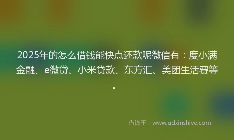 2025年的怎么借钱能快点还款呢微信有：度小满金融、e微贷、小米贷款、东方汇、美团生活费等。