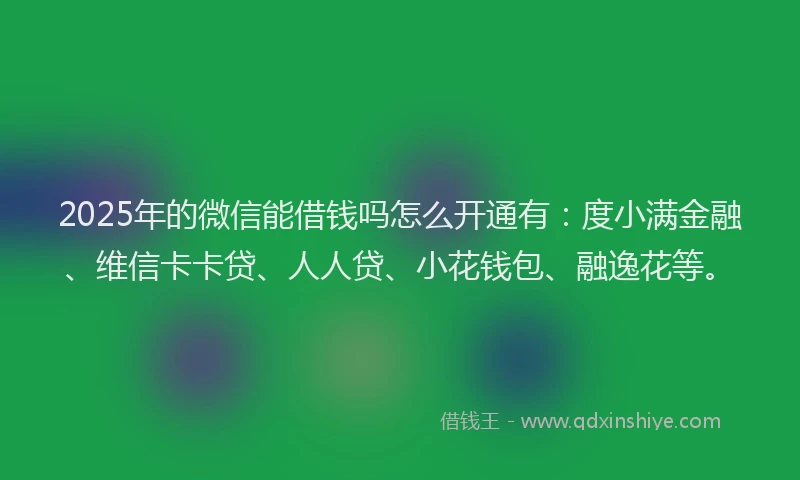 2025年的微信能借钱吗怎么开通有：度小满金融、维信卡卡贷、人人贷、小花钱包、融逸花等。