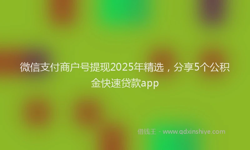 微信支付商户号提现2025年精选，分享5个公积金快速贷款app