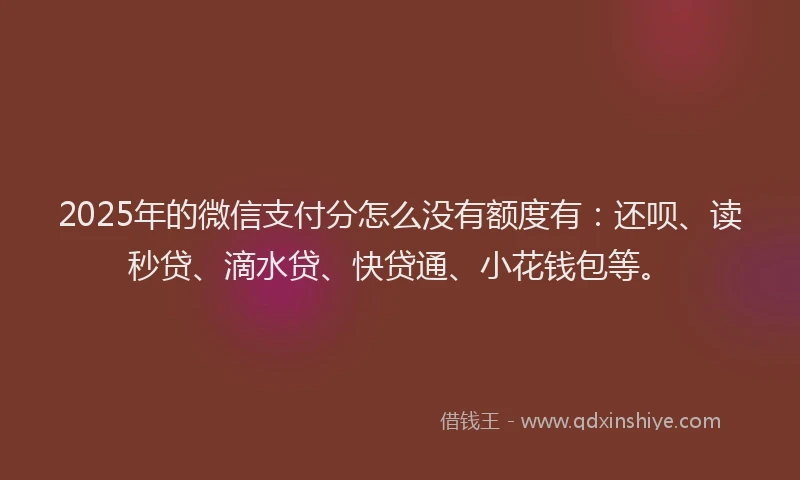 2025年的微信支付分怎么没有额度有：还呗、读秒贷、滴水贷、快贷通、小花钱包等。