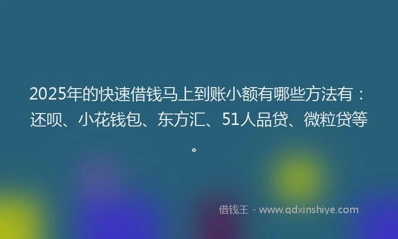 2025年的快速借钱马上到账小额有哪些方法有：还呗、小花钱包、东方汇、51人品贷、微粒贷等。