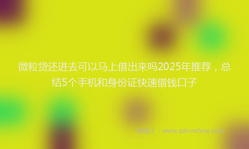 微粒贷还进去可以马上借出来吗2025年推荐，总结5个手机和身份证快速借钱口子