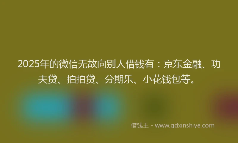 2025年的微信无故向别人借钱有：京东金融、功夫贷、拍拍贷、分期乐、小花钱包等。
