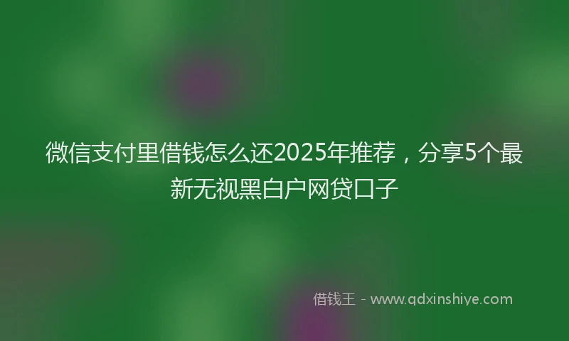 微信支付里借钱怎么还2025年推荐，分享5个最新无视黑白户网贷口子