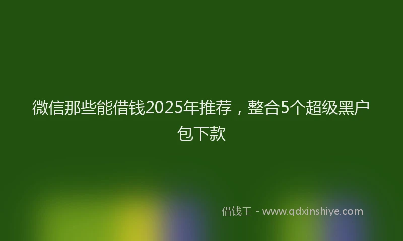 微信那些能借钱2025年推荐，整合5个超级黑户包下款