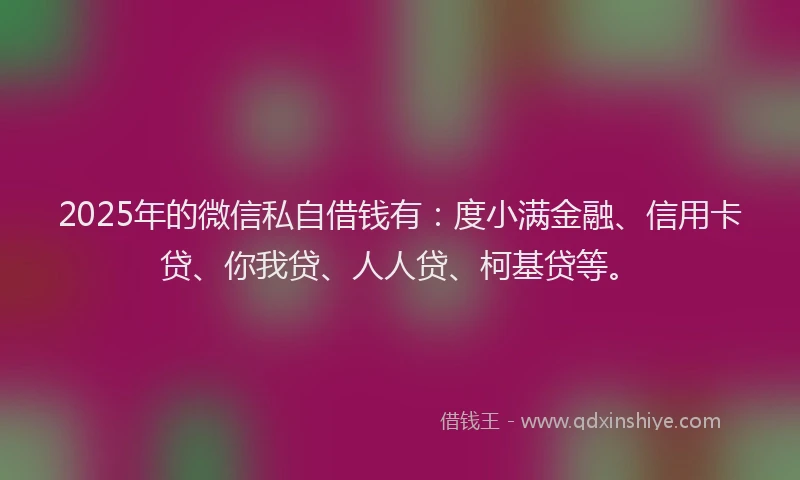 2025年的微信私自借钱有：度小满金融、信用卡贷、你我贷、人人贷、柯基贷等。