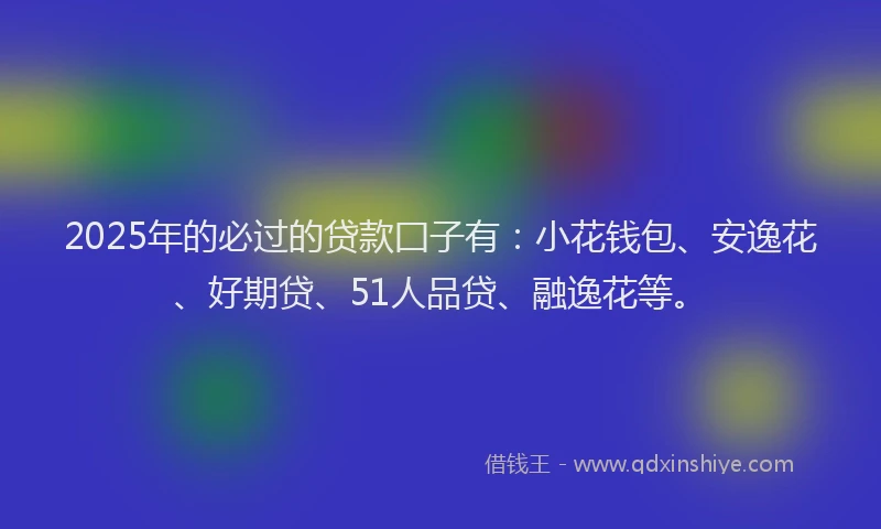 2025年的必过的贷款囗子有：小花钱包、安逸花、好期贷、51人品贷、融逸花等。