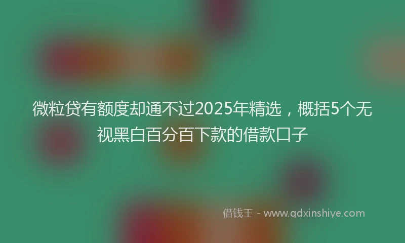 微粒贷有额度却通不过2025年精选，概括5个无视黑白百分百下款的借款口子