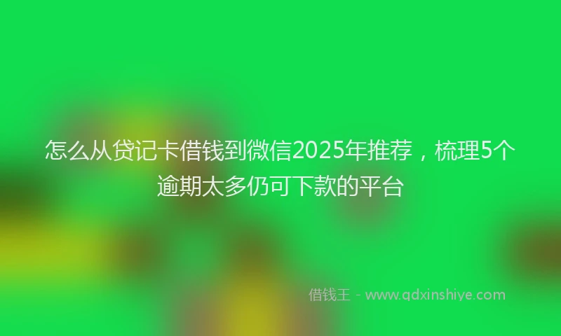怎么从贷记卡借钱到微信2025年推荐，梳理5个逾期太多仍可下款的平台