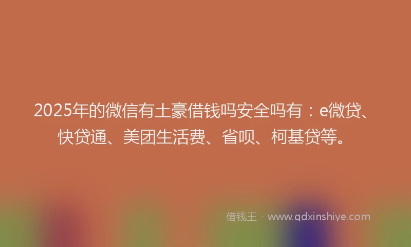 2025年的微信有土豪借钱吗安全吗有：e微贷、快贷通、美团生活费、省呗、柯基贷等。