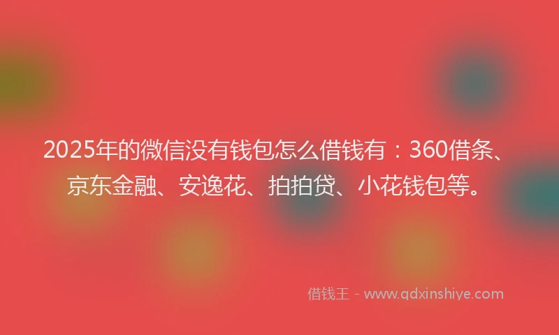 2025年的微信没有钱包怎么借钱有：360借条、京东金融、安逸花、拍拍贷、小花钱包等。