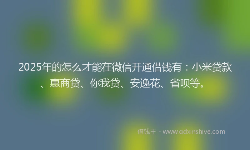 2025年的怎么才能在微信开通借钱有：小米贷款、惠商贷、你我贷、安逸花、省呗等。