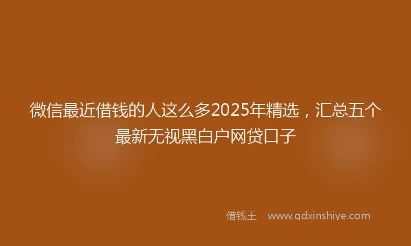 微信最近借钱的人这么多2025年精选，汇总五个最新无视黑白户网贷口子