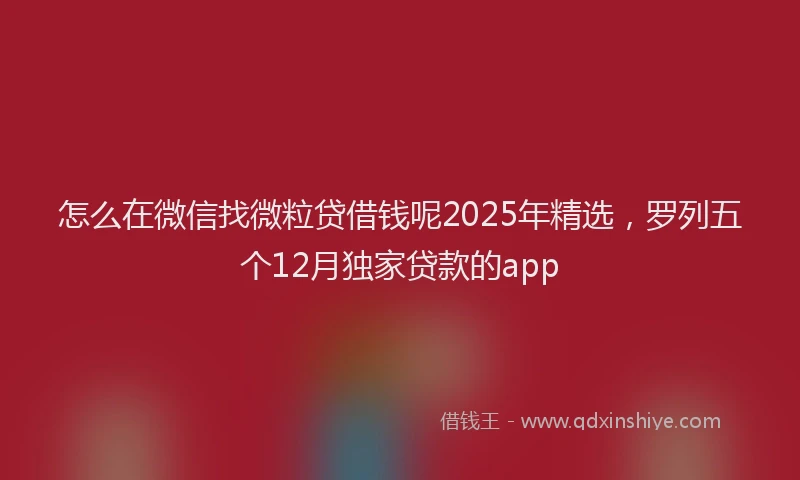 怎么在微信找微粒贷借钱呢2025年精选，罗列五个12月独家贷款的app