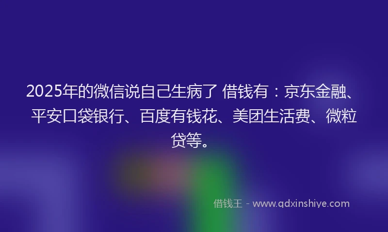 2025年的微信说自己生病了 借钱有：京东金融、平安口袋银行、百度有钱花、美团生活费、微粒贷等。