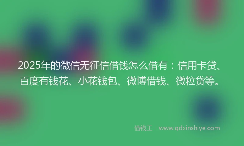 2025年的微信无征信借钱怎么借有：信用卡贷、百度有钱花、小花钱包、微博借钱、微粒贷等。
