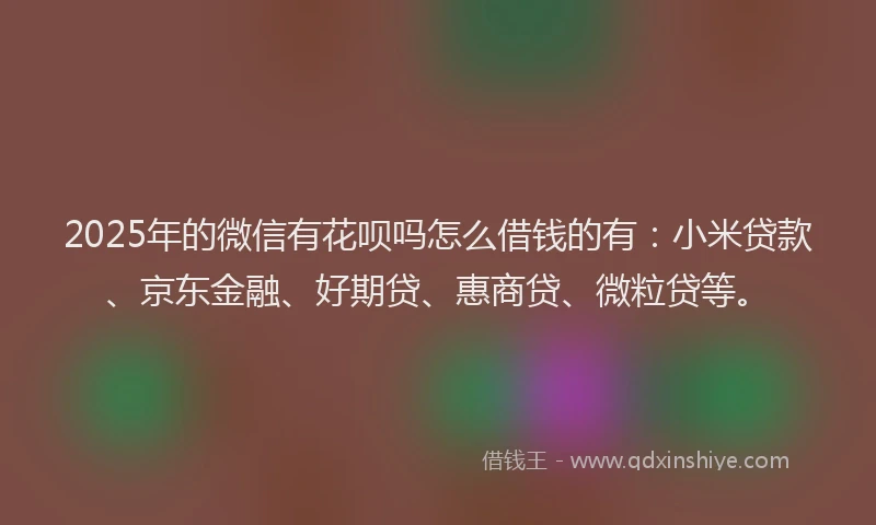 2025年的微信有花呗吗怎么借钱的有：小米贷款、京东金融、好期贷、惠商贷、微粒贷等。