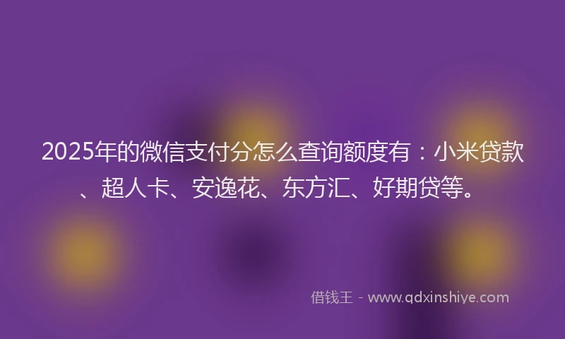 2025年的微信支付分怎么查询额度有：小米贷款、超人卡、安逸花、东方汇、好期贷等。